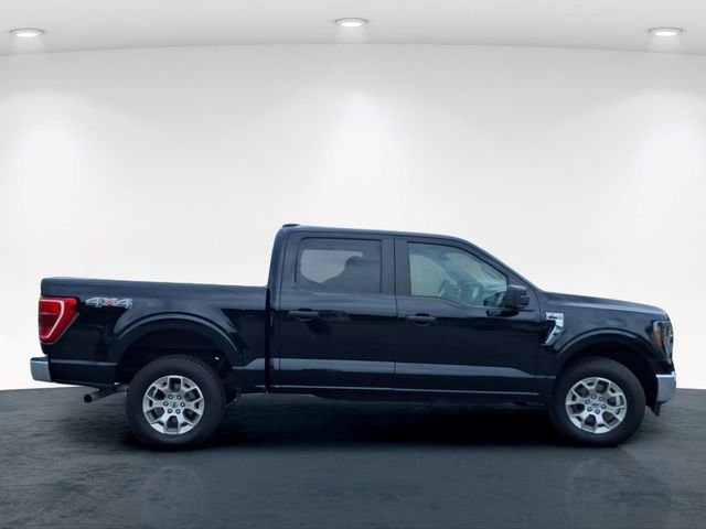 Used 2023 Black Ford XLT image 7