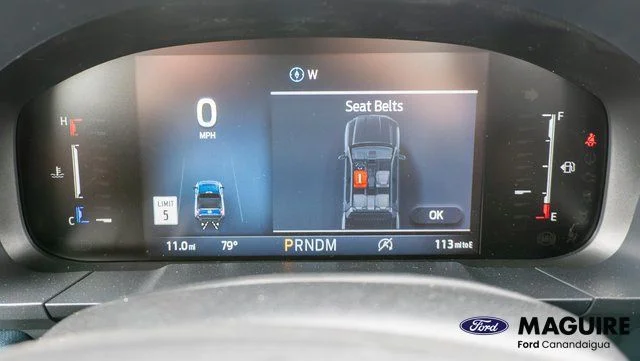New 2026 Ruby Red Metallic Tinted Clearcoat Ford Tremor® image 15