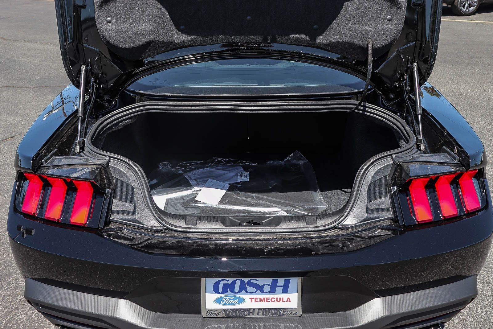 New 2026 Shadow Black Ford EcoBoost® Fastback image 26