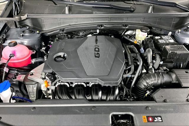 New 2026 Panthera Metal Kia LX image 2