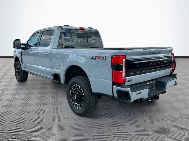 New 2026 Gray Metallic Ford Platinum image 4