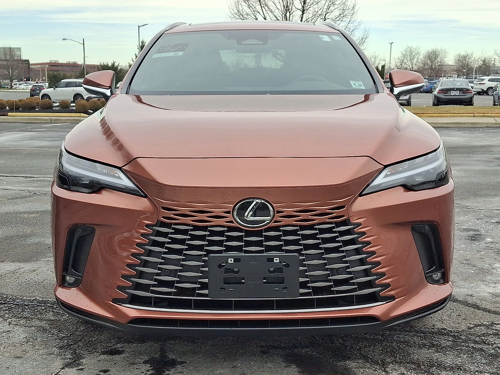 2025 Lexus RX 350 - Photo 2