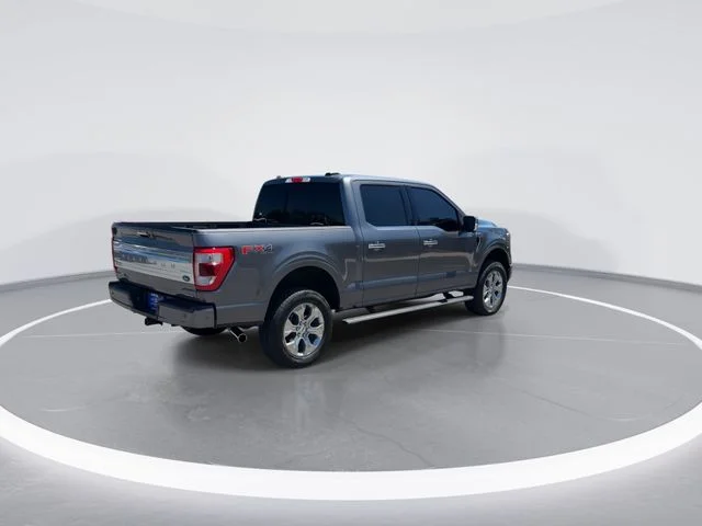 Used 2023 Gray Ford Platinum image 7