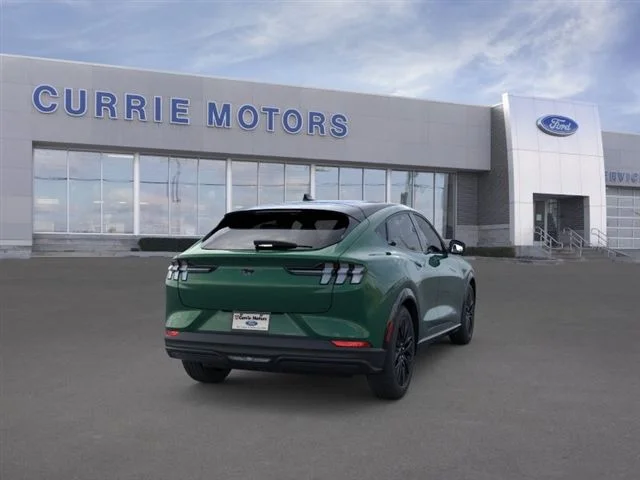 New 2026 Eruption Green Metallic Ford Premium image 30