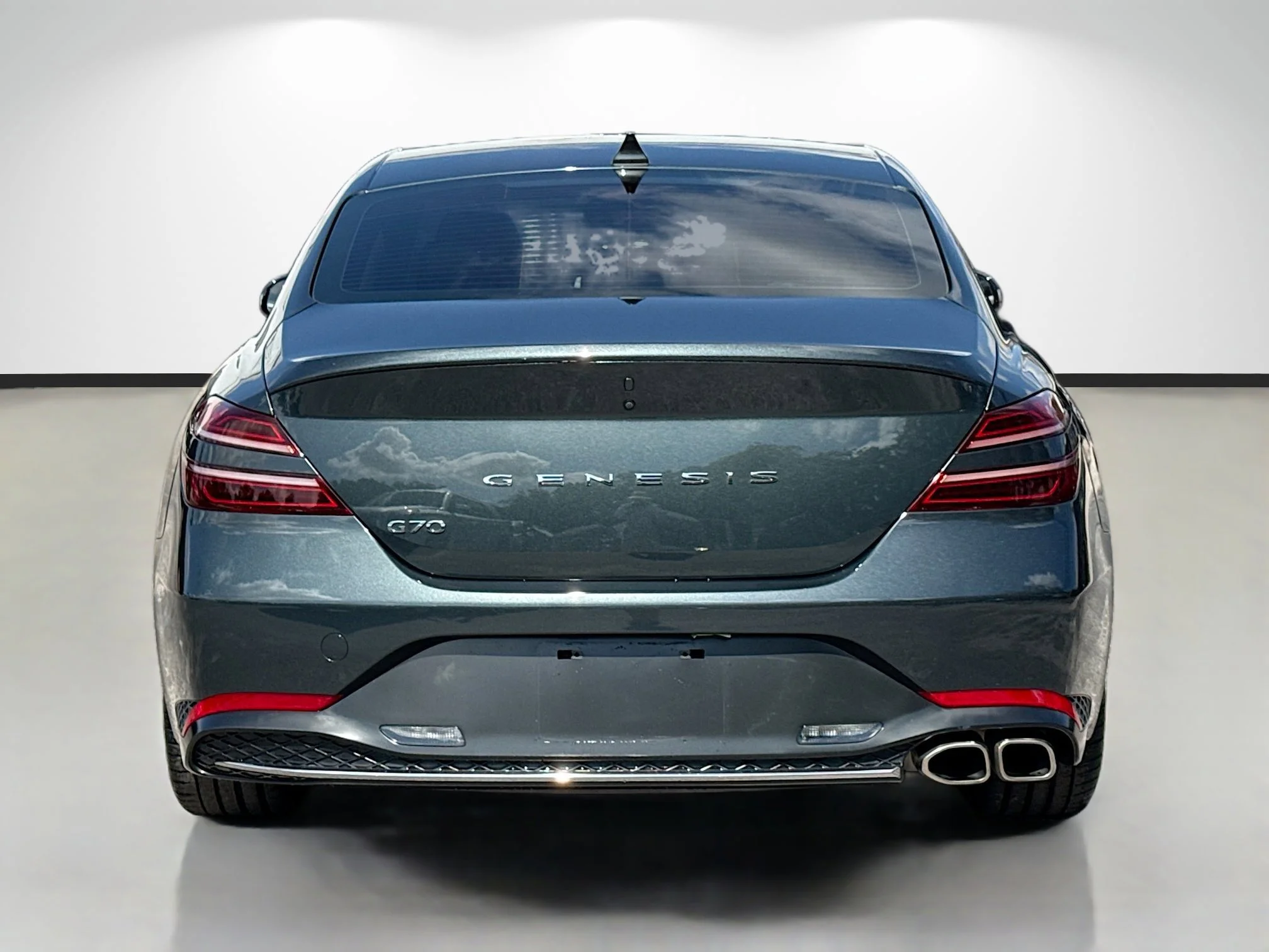 Used 2023 Hallasan Green Genesis 2.0T image 4