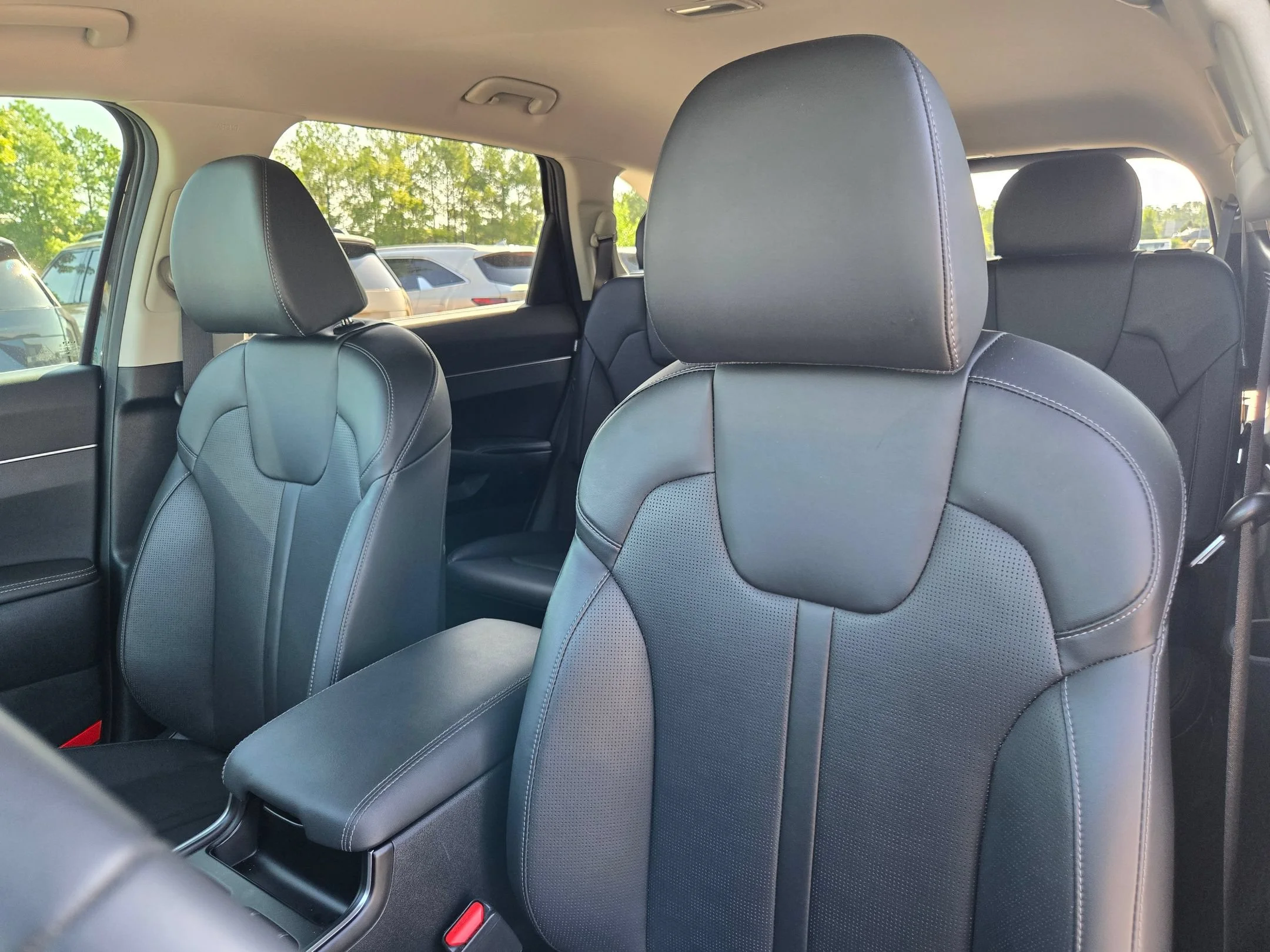 Used 2025 Panthera Metal Kia EX image 24