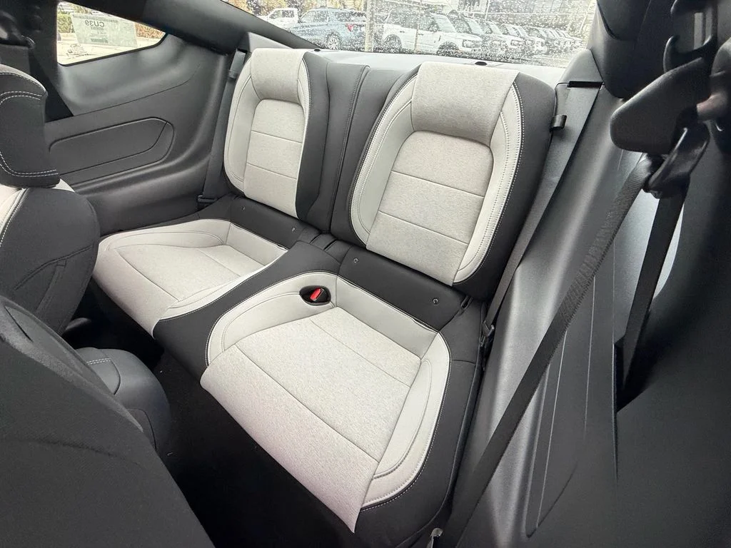 New 2026 Avalanche Gray Ford EcoBoost® Fastback image 11