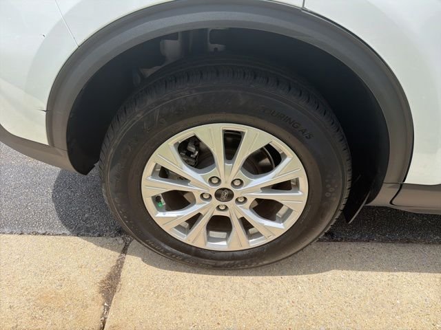 Used 2024 White Ford Active image 12