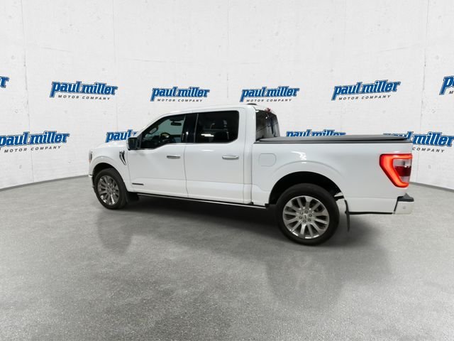 Used 2023 Star White Ford Limited image 7