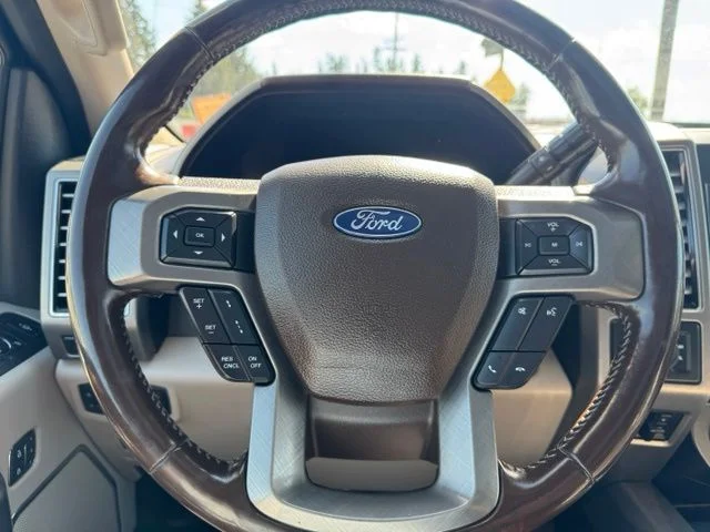 Used 2019 Black Metallic Ford Limited image 18
