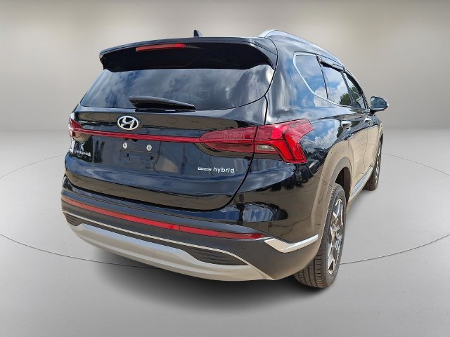 Used 2023 Black Hyundai Limited image 10