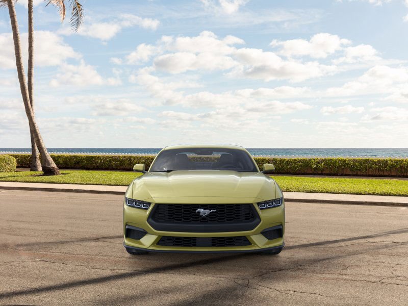 2025 Ford Mustang EcoBoost Premium Fastback - Photo 6