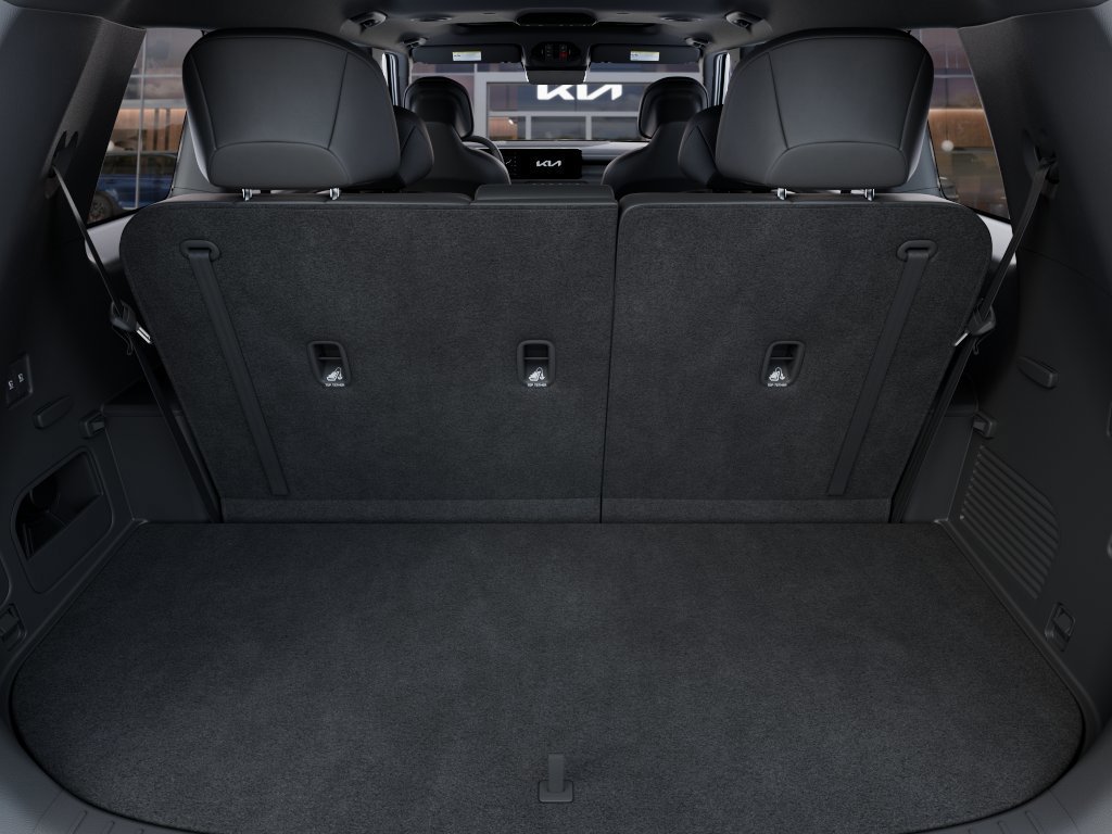New 2027 Panthera Metal Matte Kia X-Line EX image 19