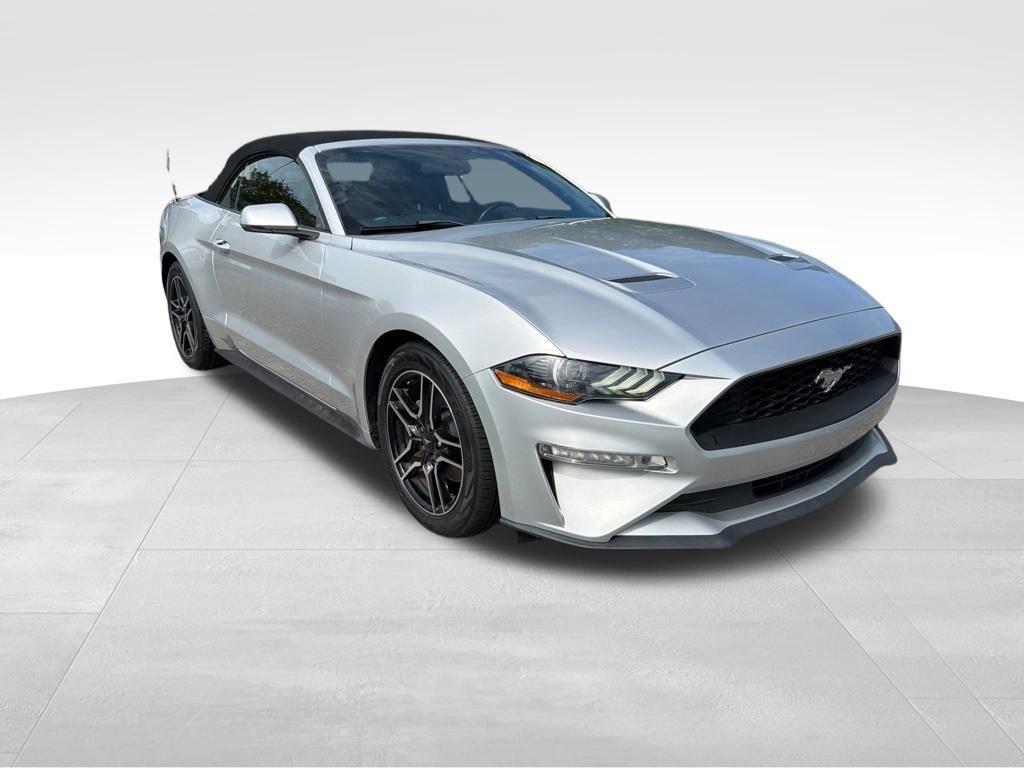 Used 2018 Silver Ford EcoBoost Premium image 9