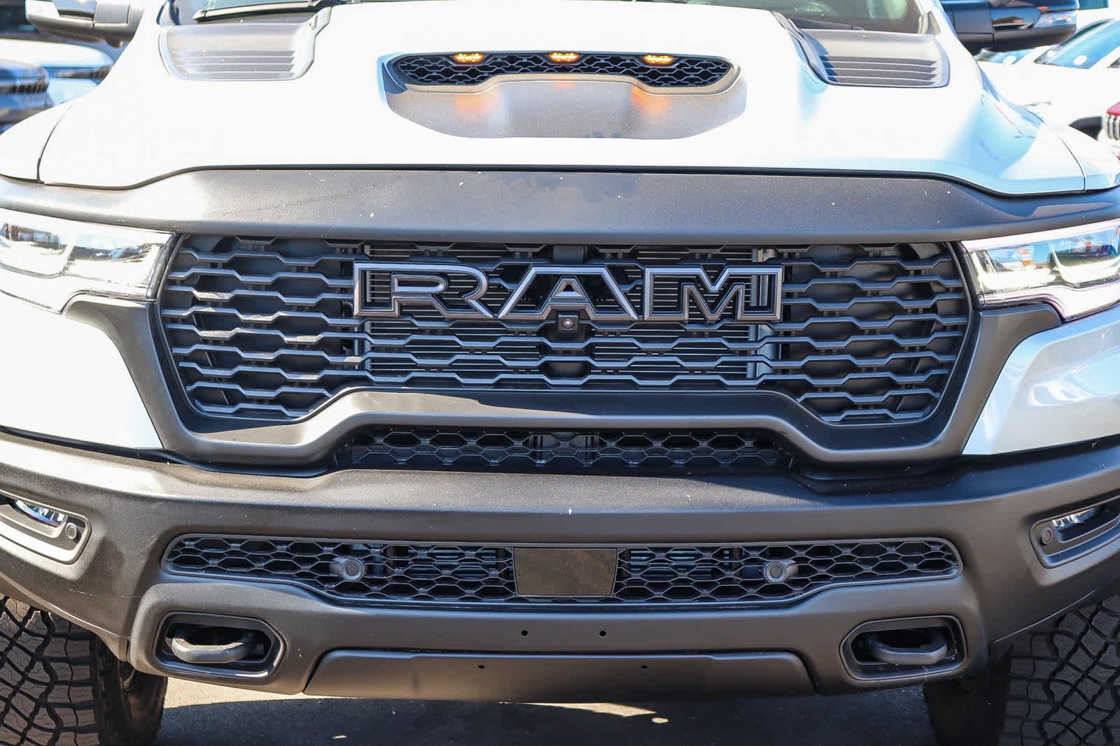 New 2026 Silver Zynith Exterior Paint RAM RHO image 8