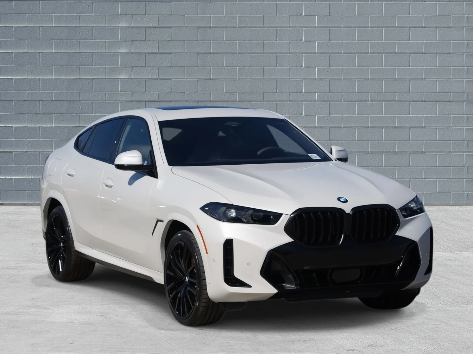 2026 BMW X6 xDrive40i's photo