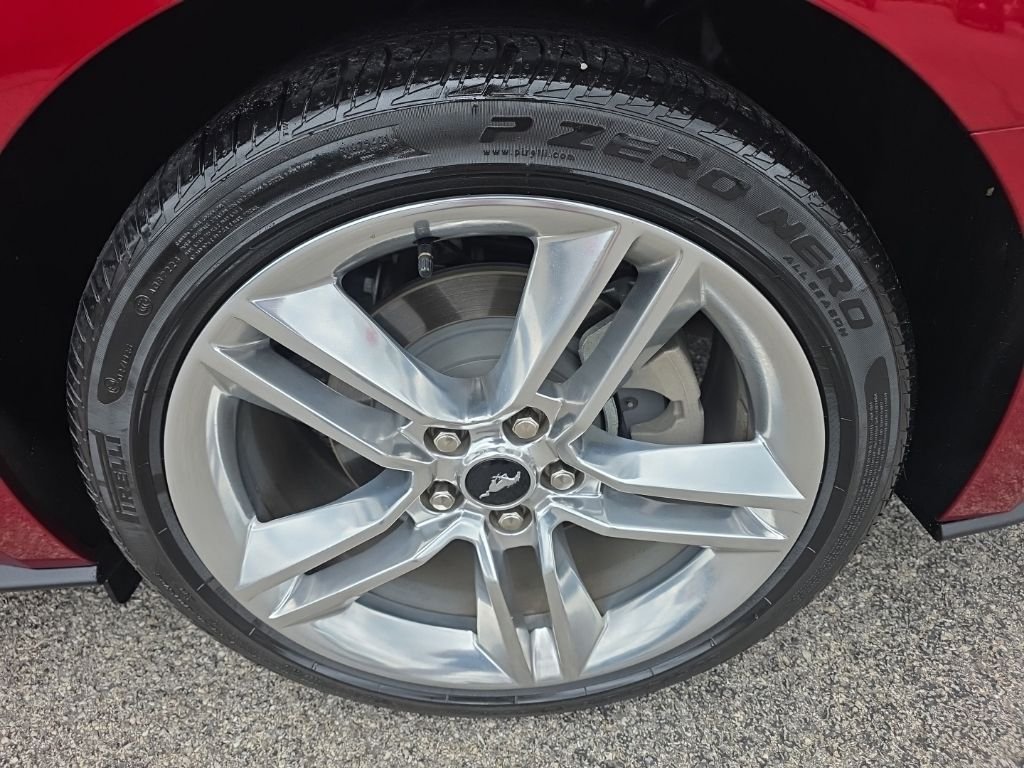 Used 2019 Red Ford EcoBoost Premium image 7