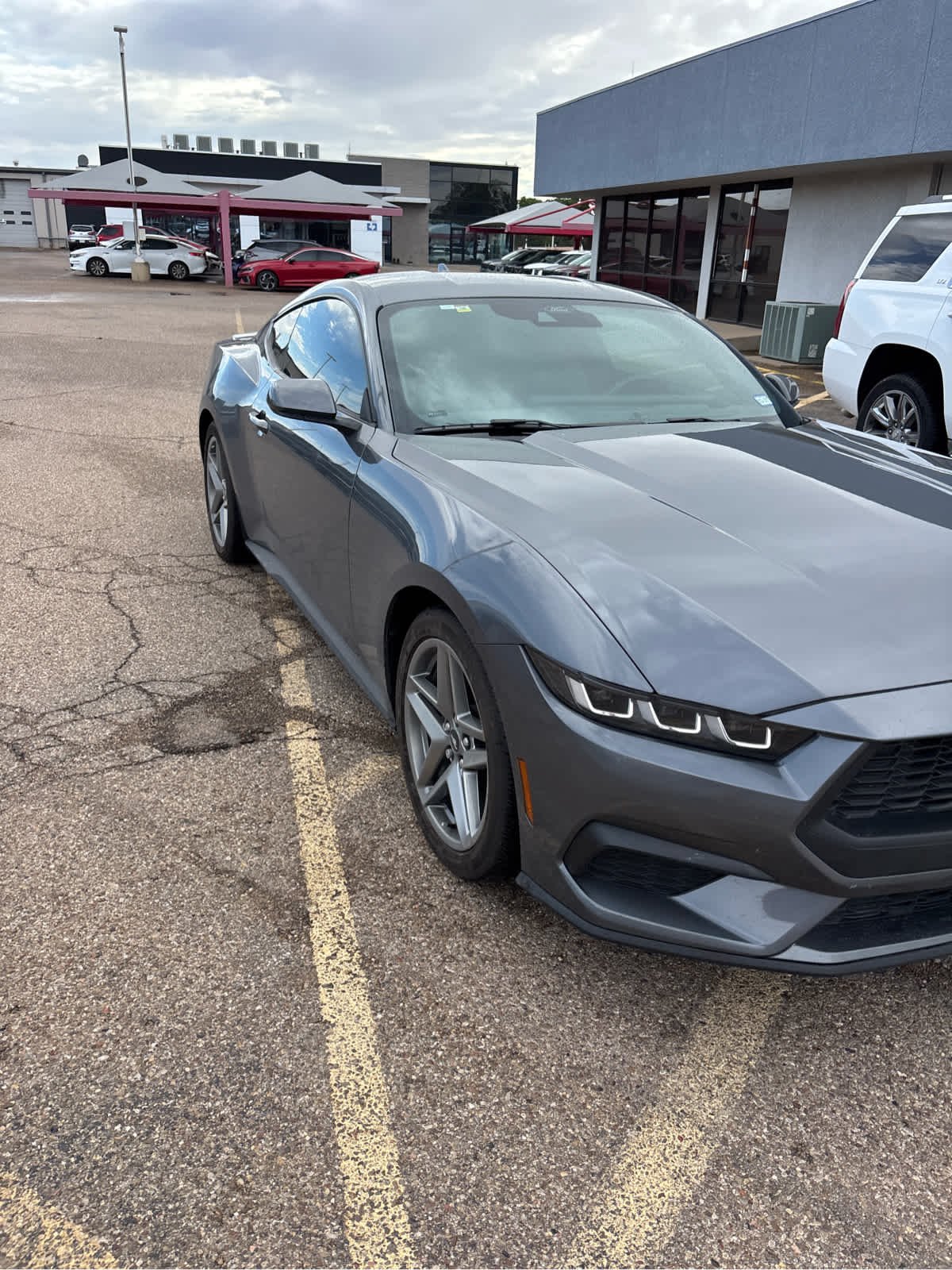 Used 2024 Carbonized Gray Ford EcoBoost Premium image 8