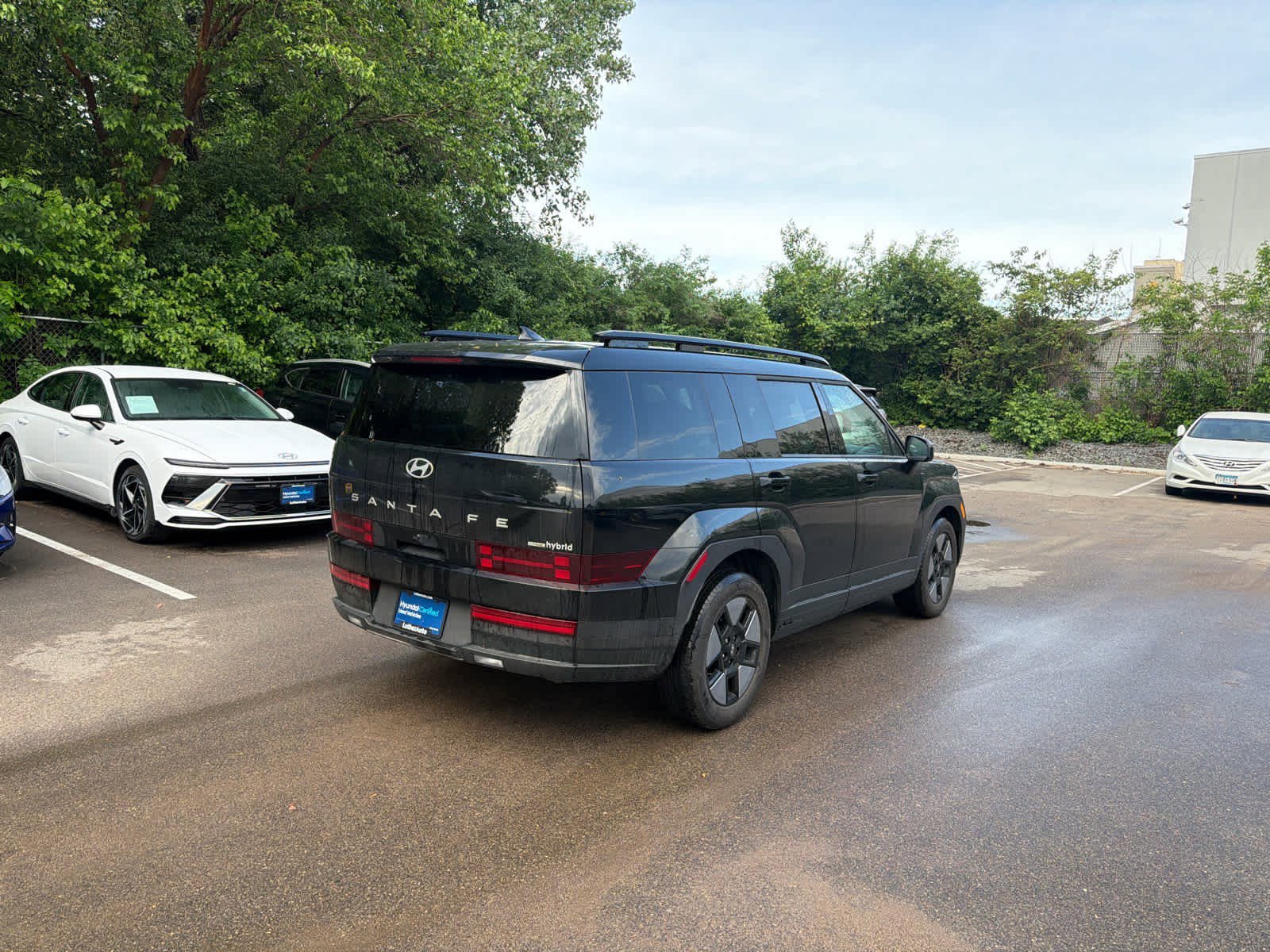 Certified 2024 Hyundai Santa Fe SEL HEV with VIN 5NMP2DG16RH001262 for sale in Bloomington, Minnesota