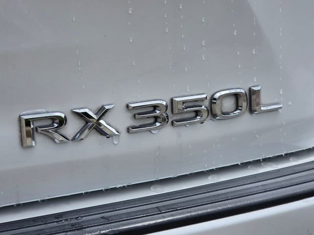 2019 Lexus RX 350 - Photo 6