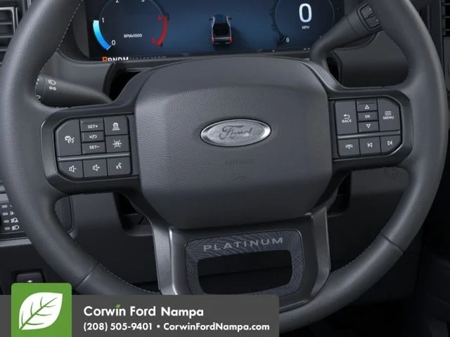 New 2026 Agate Black Metallic Ford Platinum image 12