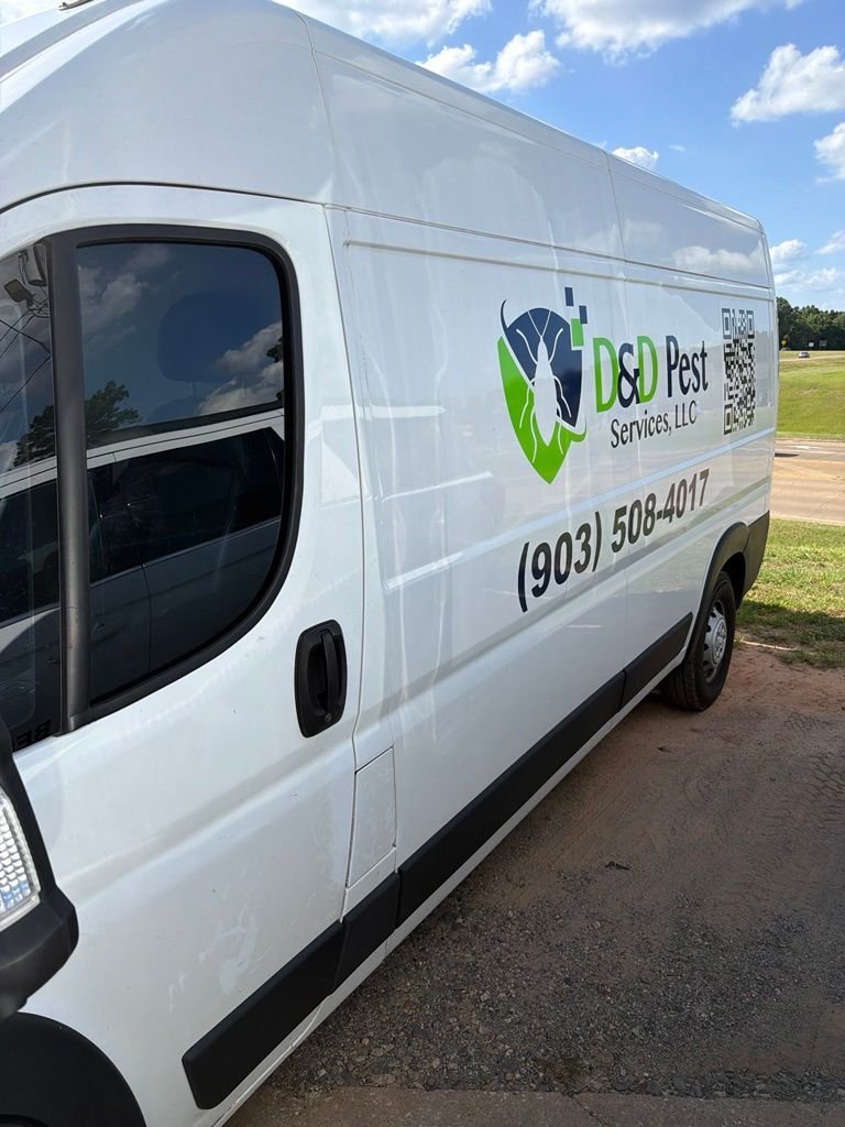 Used 2022 White Ram High Roof image 1