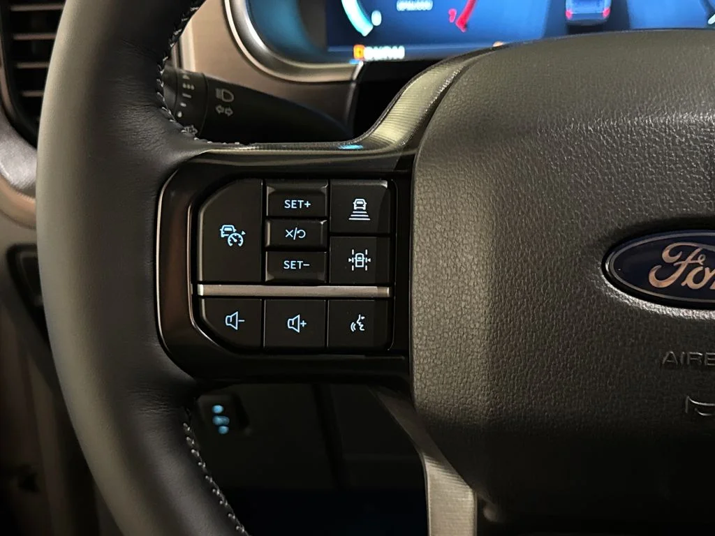 New 2026 Gray Ford Platinum image 40