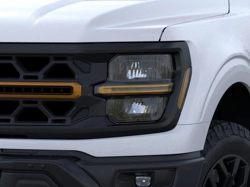 2025 Ford F-150 Tremor - Photo 18