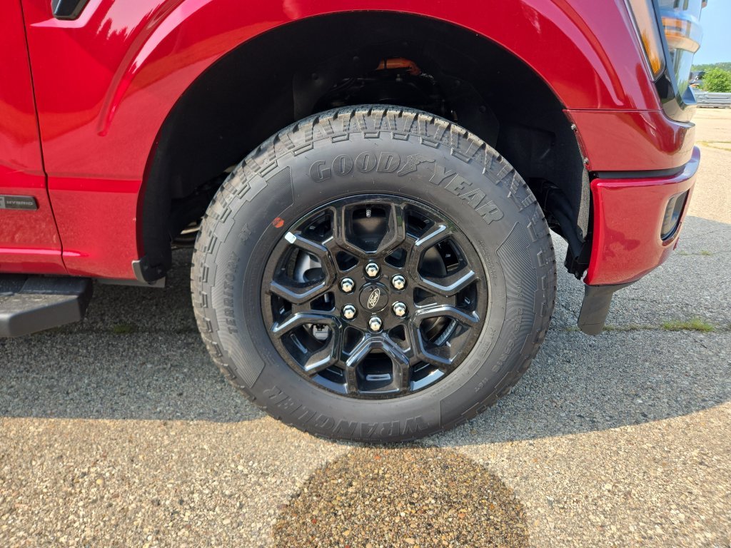 New 2026 Ruby Red Metallic Tinted Clearcoat Ford XLT image 21