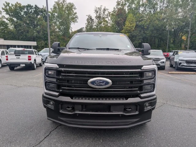 Used 2026 Black Ford Platinum image 9