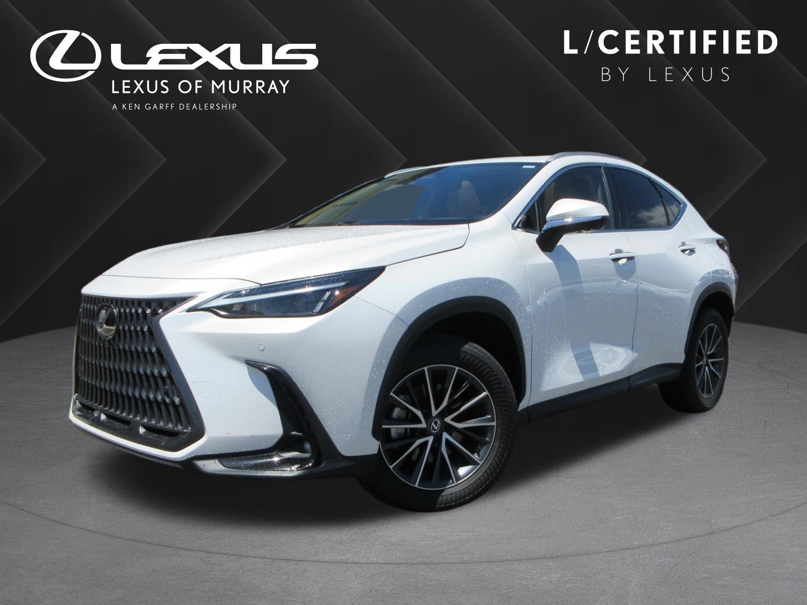 2024 Lexus NX 350h 350h Premium AWD's photo