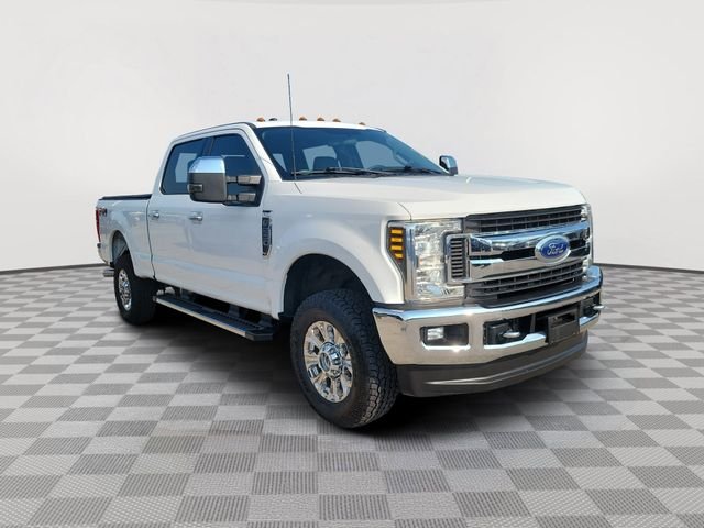 Certified Used 2019 Oxford White Ford XLT image 7
