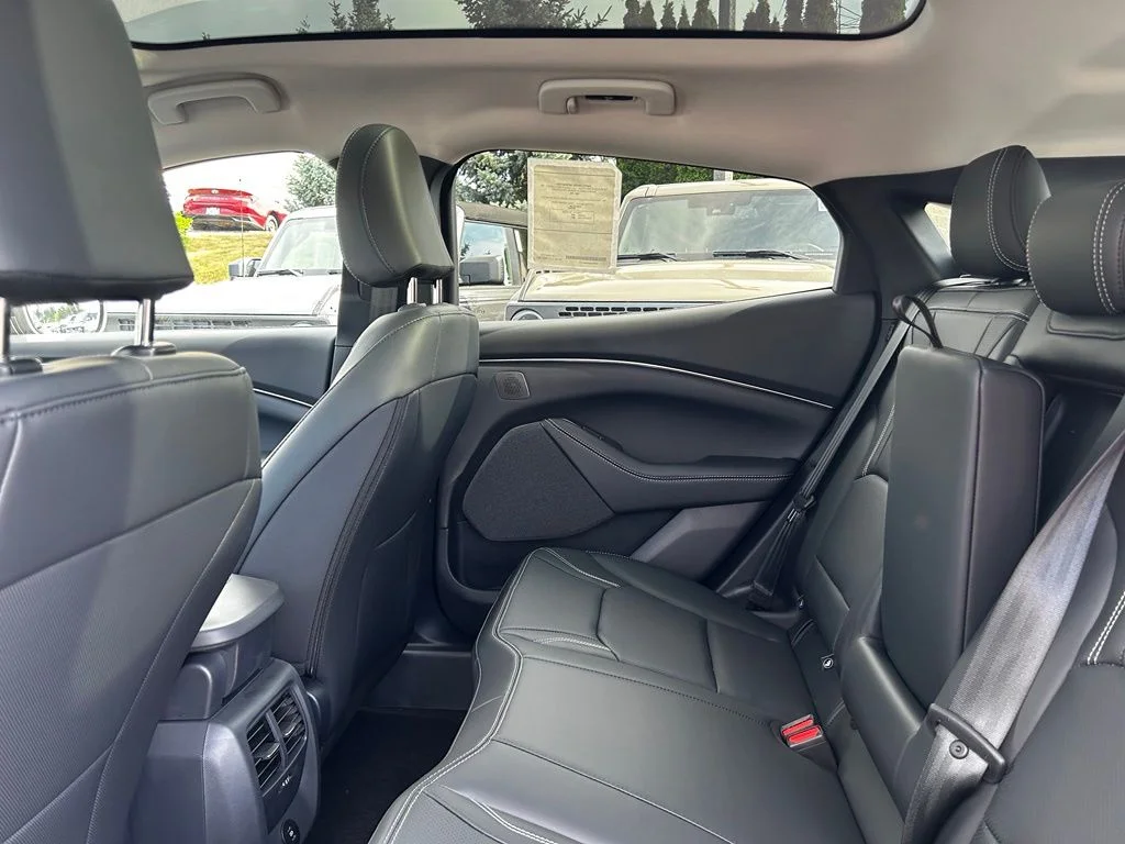 New 2026 Shadow Black Ford Premium image 10