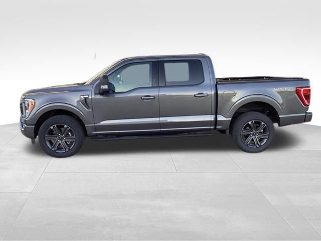 2023 Ford F-150 XLT 4x4 SuperCrew 5-1/2 Box's photo