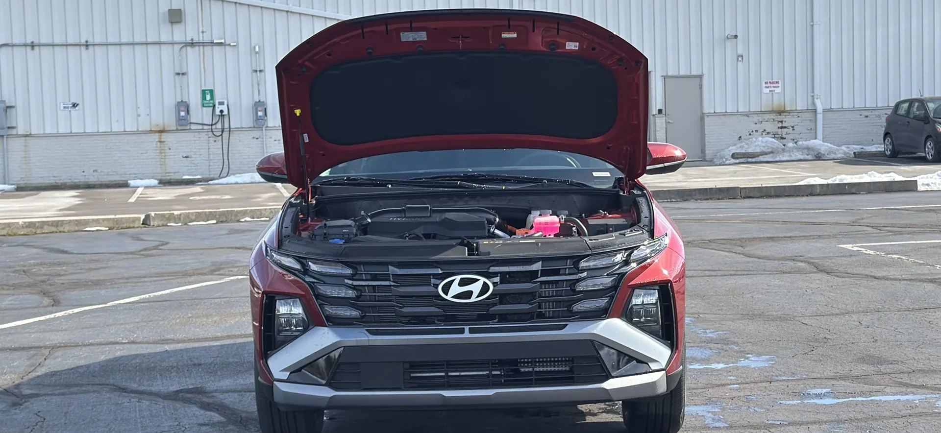 New 2026 Ultimate Red Pearl Hyundai Blue SE image 15
