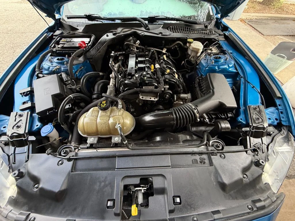 Used 2021 Blue Ford EcoBoost image 20