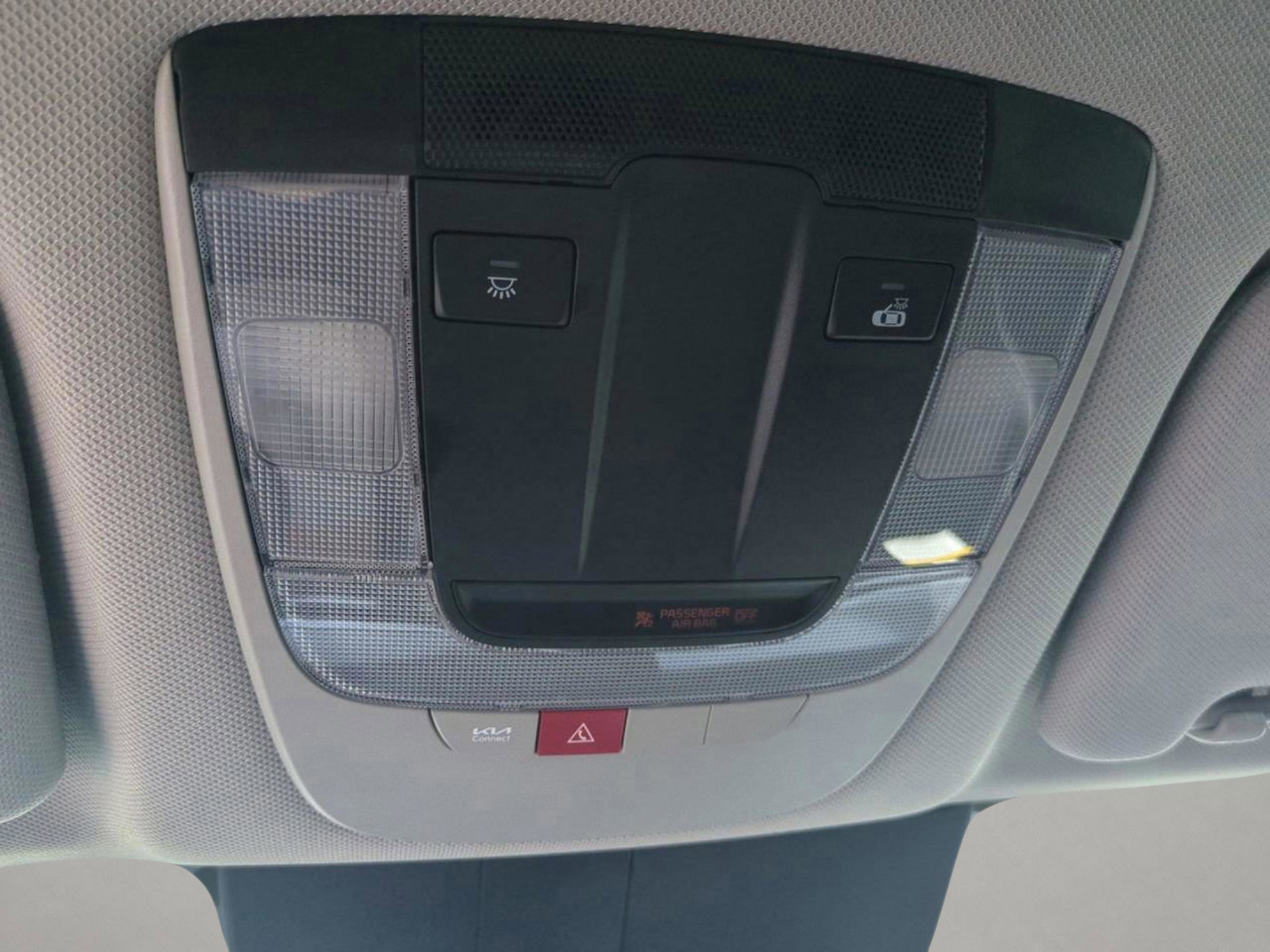 New 2026 Panthera Metal Kia LX image 21