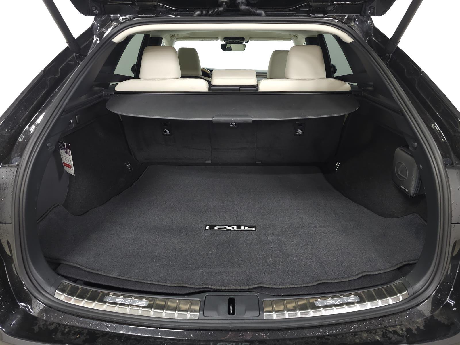 2024 Lexus RX 350 - Photo 8
