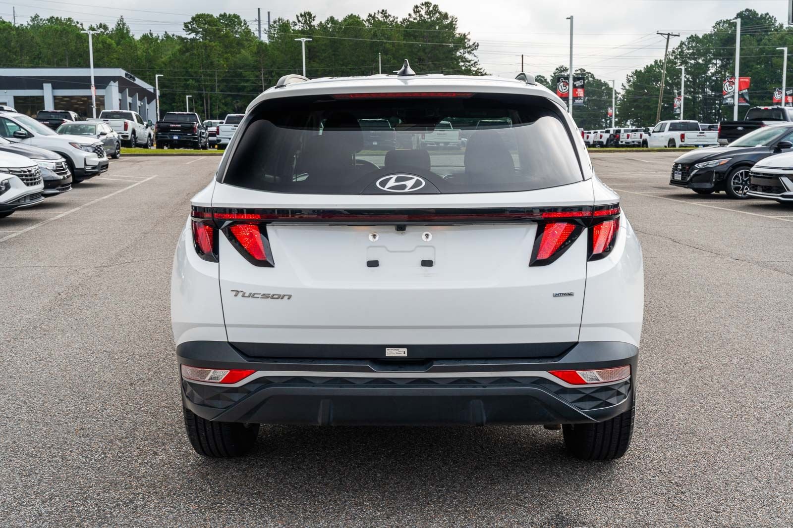 Used 2024 White Hyundai SEL image 6