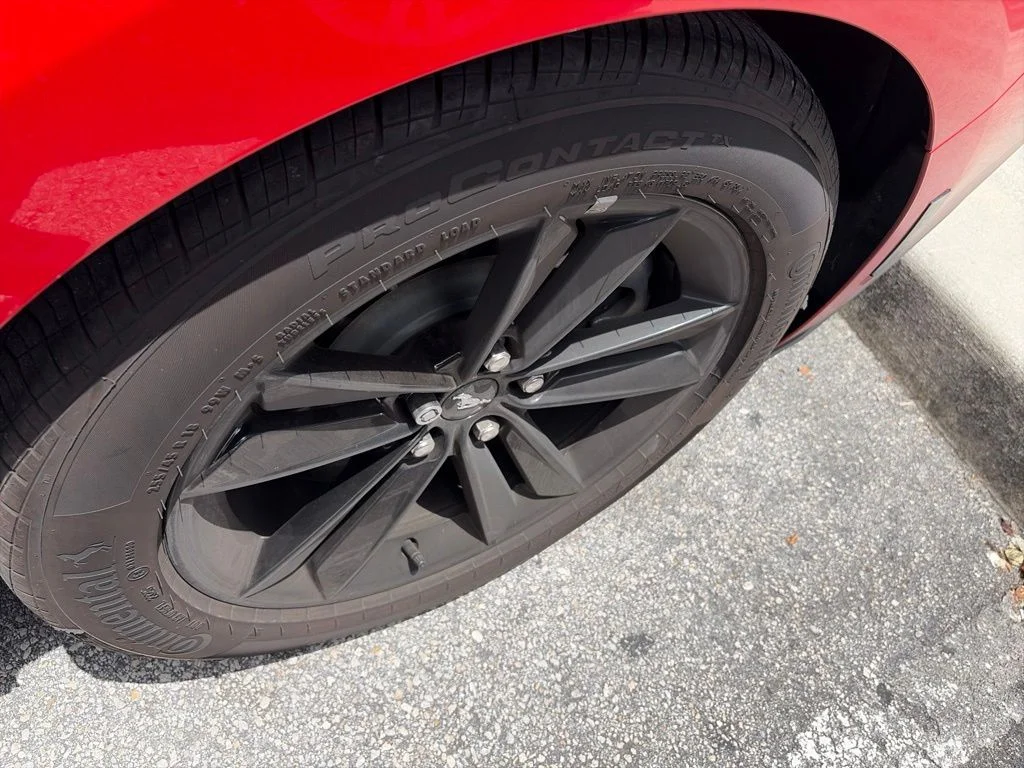 Used 2025 Race Red Ford GT image 3