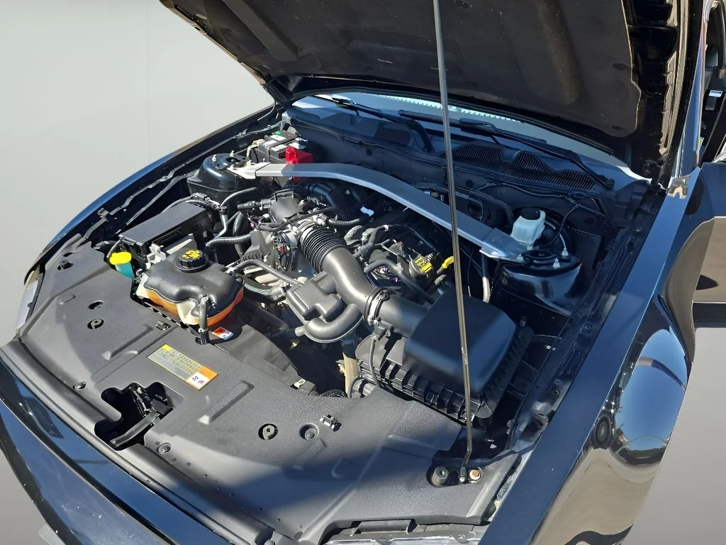 Used 2014 Black Ford Base image 36