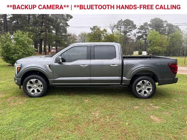 New 2026 Carbonized Gray Metallic Ford Platinum® image 67