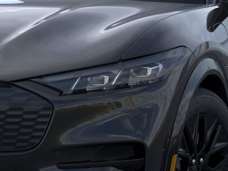 New 2026 Shadow Black Ford Premium image 18