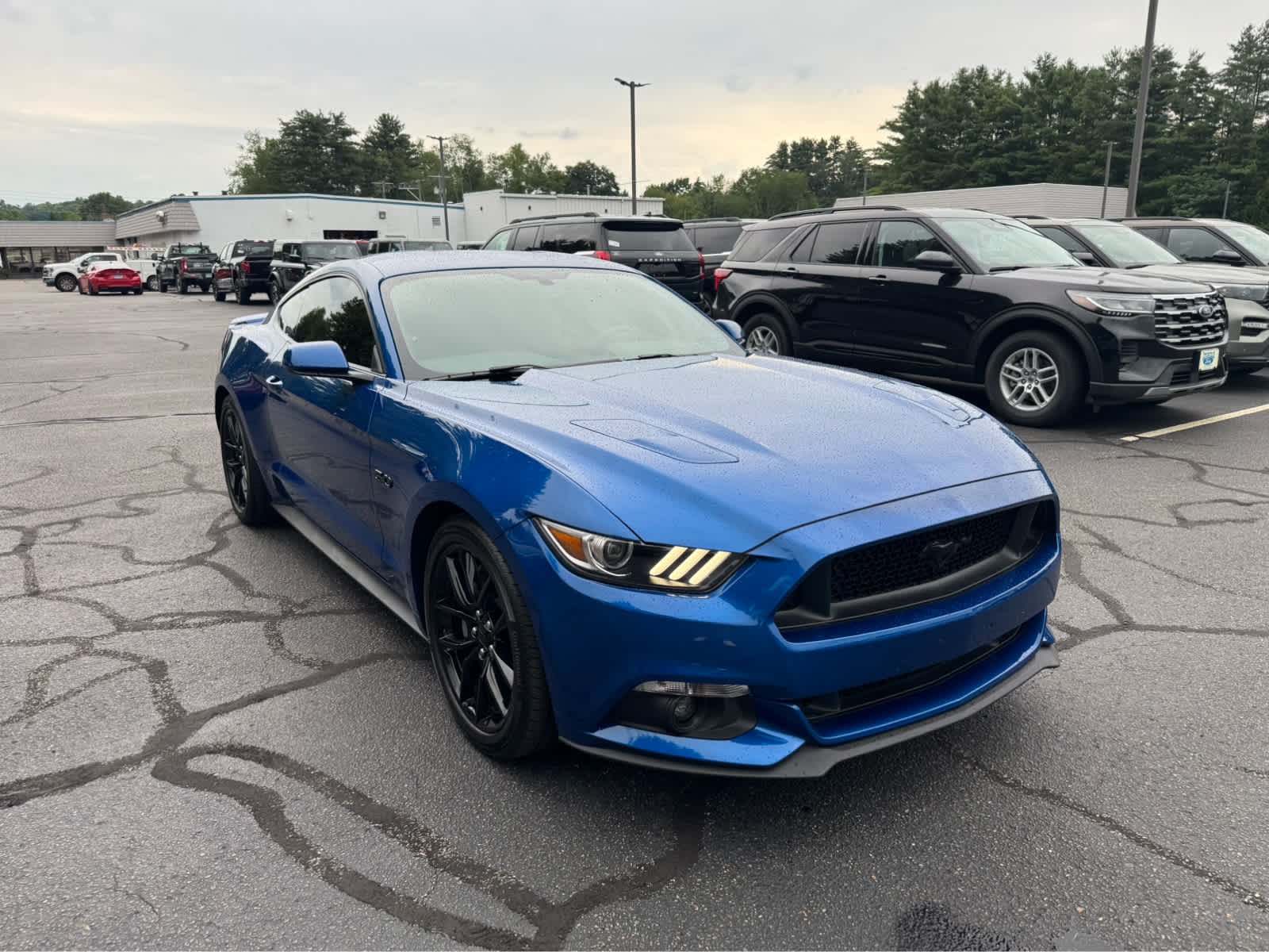 Certified Used 2017 Lightning Blue Ford GT image 8