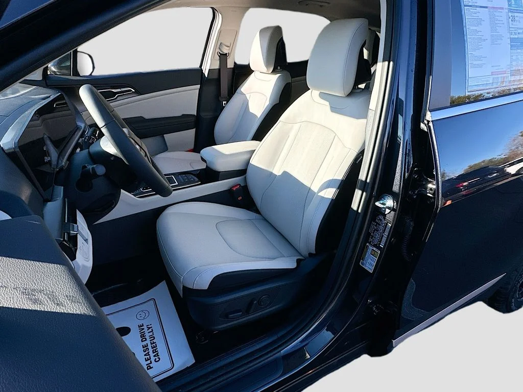 New 2026 Panthera Metal Kia EX image 20