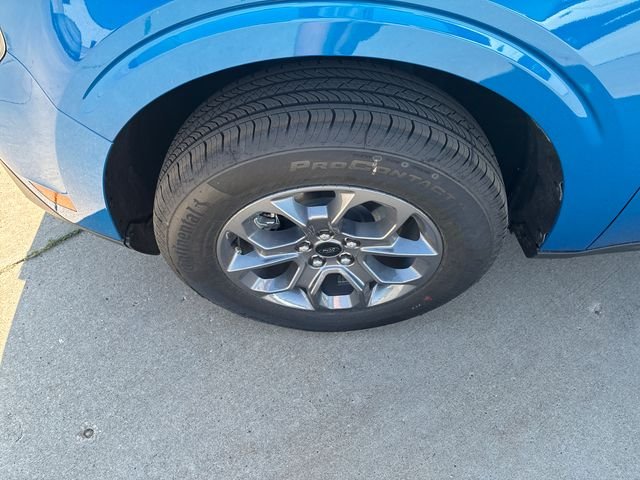 New 2026 Velocity Blue Ford XLT image 11