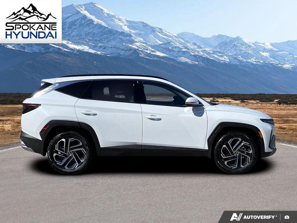 New 2026 Creamy White Pearl Hyundai Limited image 7