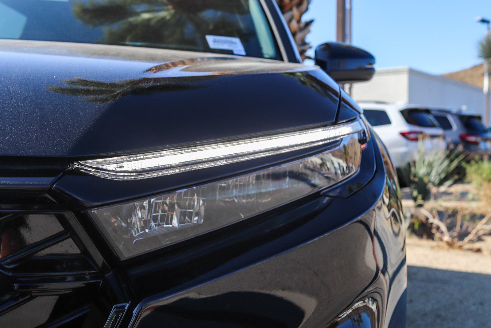 New 2026 Crystal Black Pearl Honda Sport-L image 8