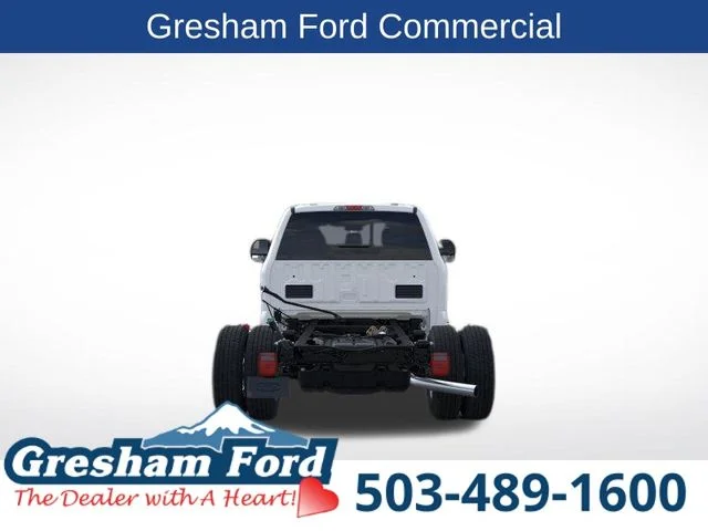 New 2026 Oxford White Ford XL image 6