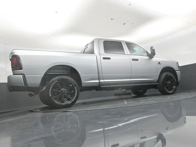 New 2026 Silver-Zynith Exterior Paint RAM  image 39